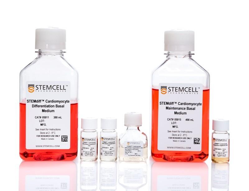 STEMdiff Cardiomyocyte Dissociation Kit | 製品情報 | ベリタス